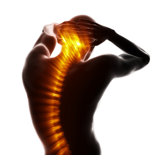 chiropractic care back spine